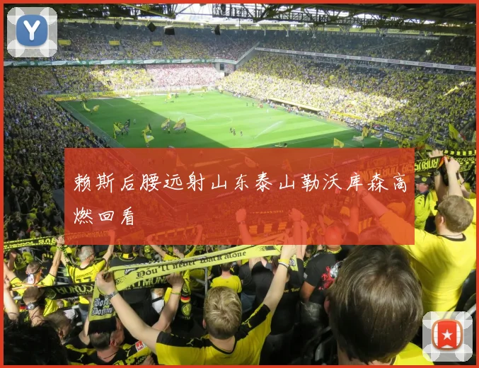 赖斯后腰远射山东泰山勒沃库森高燃回看