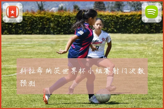 科拉希纳茨世界杯小组赛射门次数预测