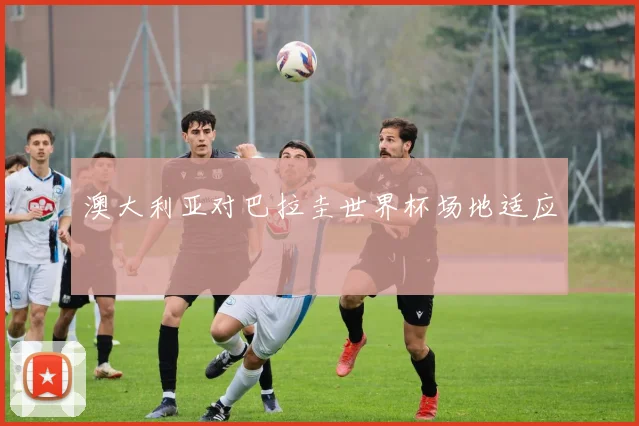 澳大利亚对巴拉圭世界杯场地适应