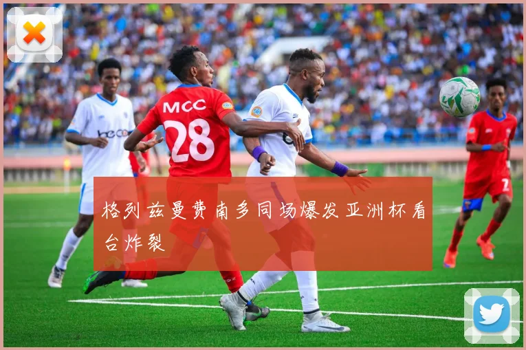 格列兹曼费南多同场爆发亚洲杯看台炸裂