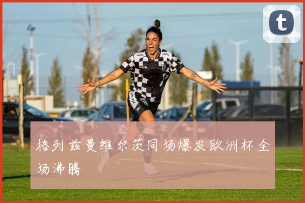 格列兹曼维尔茨同场爆发欧洲杯全场沸腾