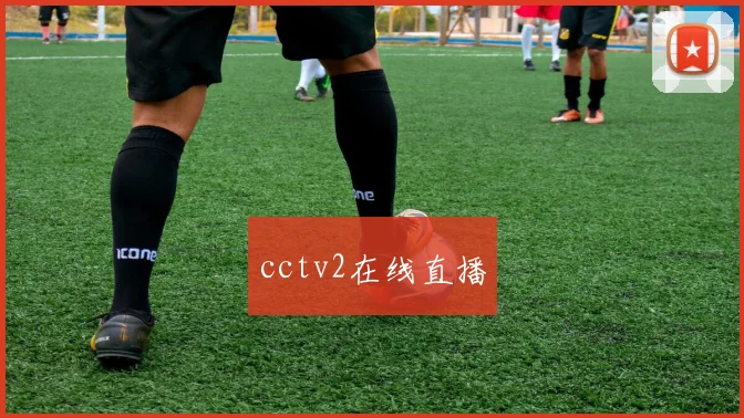 cctv2在线直播