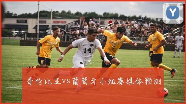 哥伦比亚vs葡萄牙小组赛媒体预测