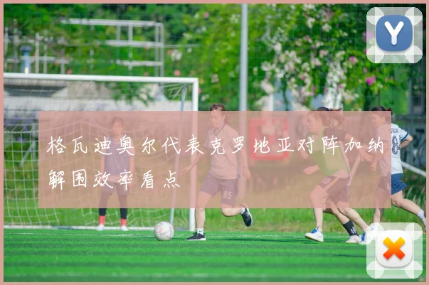 格瓦迪奥尔代表克罗地亚对阵加纳解围效率看点