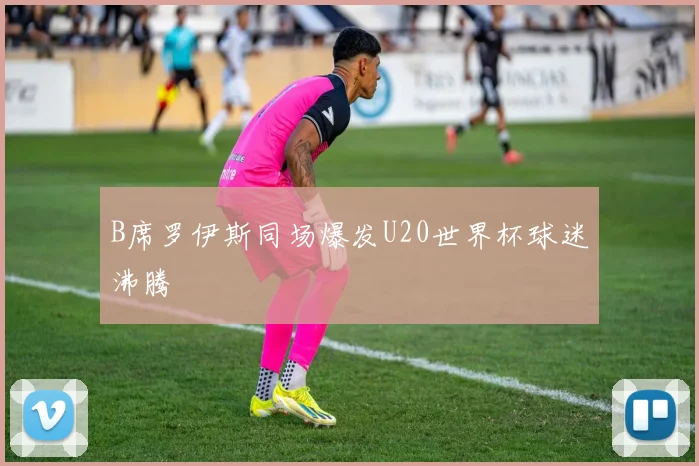 B席罗伊斯同场爆发U20世界杯球迷沸腾