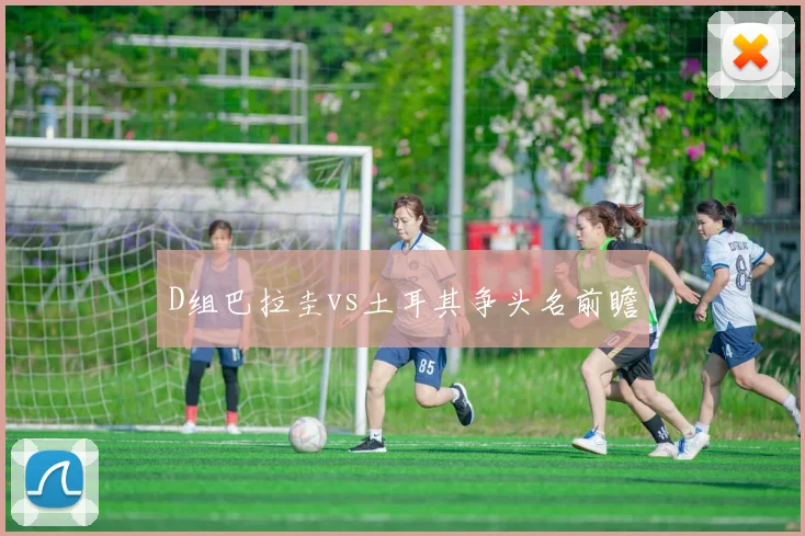 D组巴拉圭vs土耳其争头名前瞻