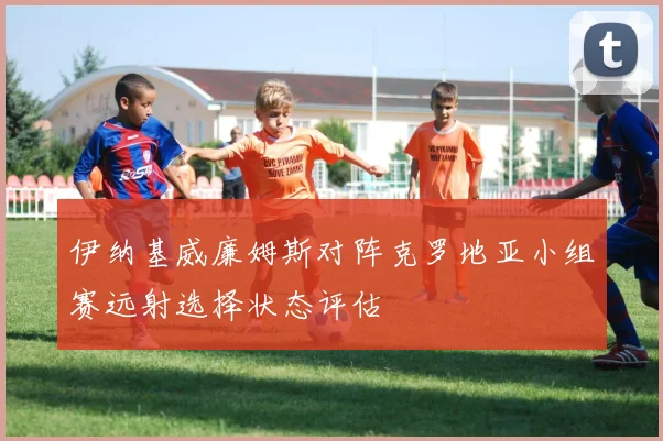 伊纳基威廉姆斯对阵克罗地亚小组赛远射选择状态评估