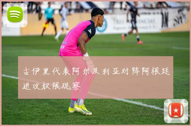 古伊里代表阿尔及利亚对阵阿根廷进攻权限观察