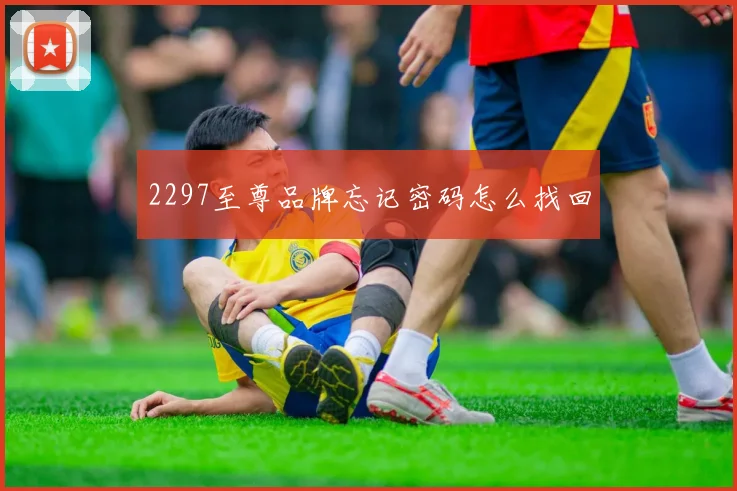 2297至尊品牌忘记密码怎么找回