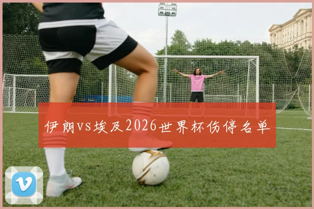 伊朗vs埃及2026世界杯伤停名单